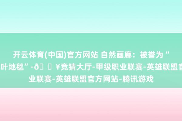 开云体育(中国)官方网站 自然画廊：被誉为“亚洲最长的自然落叶地毯”-🔥竞猜大厅-甲级职业联赛-英雄联盟官方网站-腾讯游戏