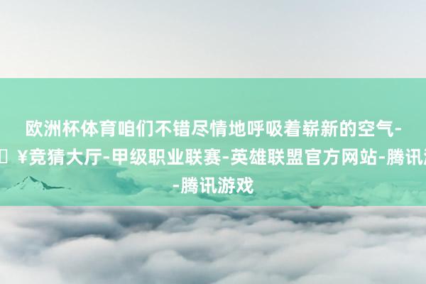 欧洲杯体育咱们不错尽情地呼吸着崭新的空气-🔥竞猜大厅-甲级职业联赛-英雄联盟官方网站-腾讯游戏