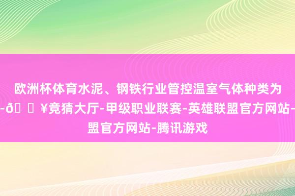 欧洲杯体育水泥、钢铁行业管控温室气体种类为二氧化碳-🔥竞猜大厅-甲级职业联赛-英雄联盟官方网站-腾讯游戏
