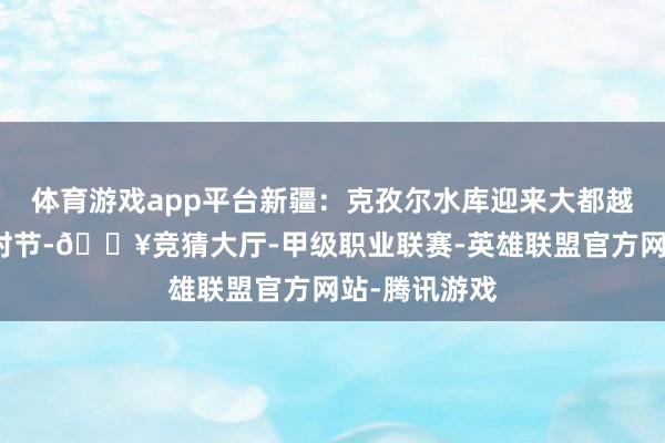 体育游戏app平台新疆：克孜尔水库迎来大都越冬候鸟初冬时节-🔥竞猜大厅-甲级职业联赛-英雄联盟官方网站-腾讯游戏
