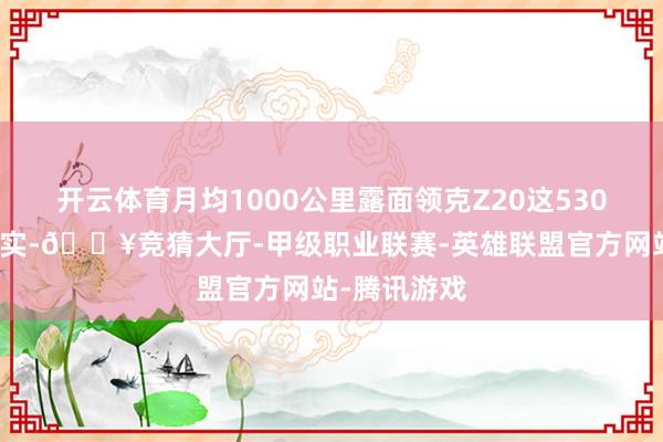 开云体育月均1000公里露面领克Z20这530公里续航塌实-🔥竞猜大厅-甲级职业联赛-英雄联盟官方网站-腾讯游戏