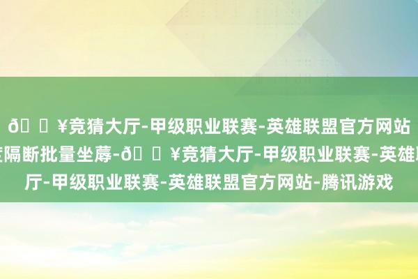 🔥竞猜大厅-甲级职业联赛-英雄联盟官方网站-腾讯游戏将在四季度隔断批量坐蓐-🔥竞猜大厅-甲级职业联赛-英雄联盟官方网站-腾讯游戏