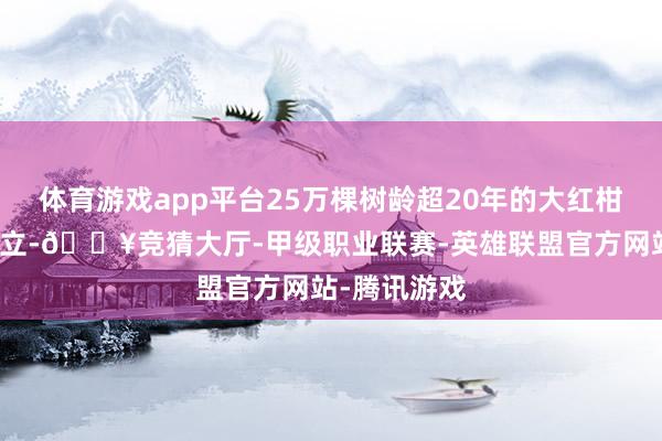 体育游戏app平台25万棵树龄超20年的大红柑老树傲然挺立-🔥竞猜大厅-甲级职业联赛-英雄联盟官方网站-腾讯游戏