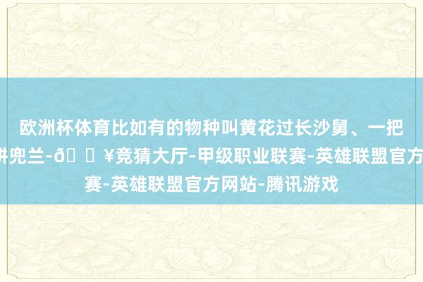 欧洲杯体育比如有的物种叫黄花过长沙舅、一把伞南星、绿肉饼兜兰-🔥竞猜大厅-甲级职业联赛-英雄联盟官方网站-腾讯游戏
