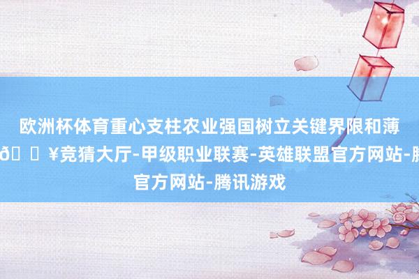 欧洲杯体育重心支柱农业强国树立关键界限和薄弱门径-🔥竞猜大厅-甲级职业联赛-英雄联盟官方网站-腾讯游戏
