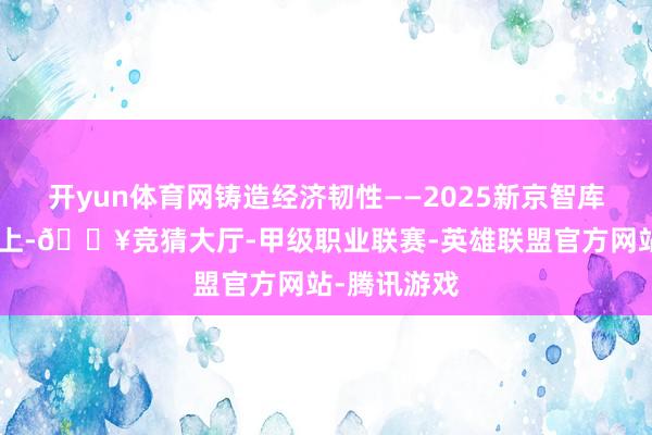开yun体育网铸造经济韧性——2025新京智库春季论坛”上-🔥竞猜大厅-甲级职业联赛-英雄联盟官方网站-腾讯游戏