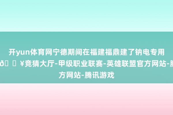 开yun体育网宁德期间在福建福鼎建了钠电专用量产线-🔥竞猜大厅-甲级职业联赛-英雄联盟官方网站-腾讯游戏