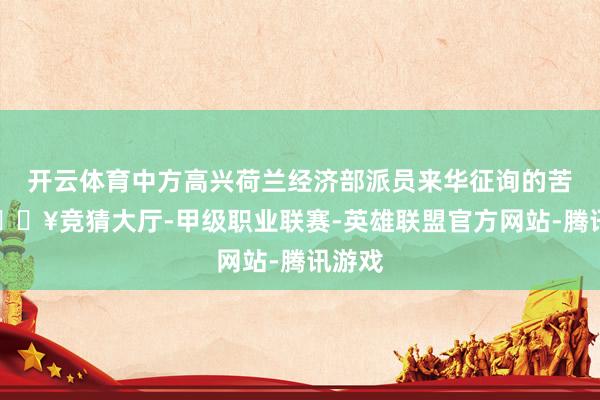 开云体育中方高兴荷兰经济部派员来华征询的苦求-🔥竞猜大厅-甲级职业联赛-英雄联盟官方网站-腾讯游戏