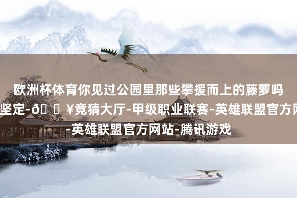 欧洲杯体育你见过公园里那些攀援而上的藤萝吗？它们柔嫩却坚定-🔥竞猜大厅-甲级职业联赛-英雄联盟官方网站-腾讯游戏
